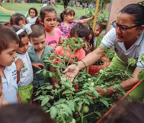 Primera Infancia: Desarrollo Integral y Apoyo
