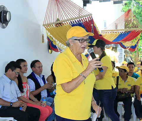 Programas de Bienestar para el Adulto Mayor